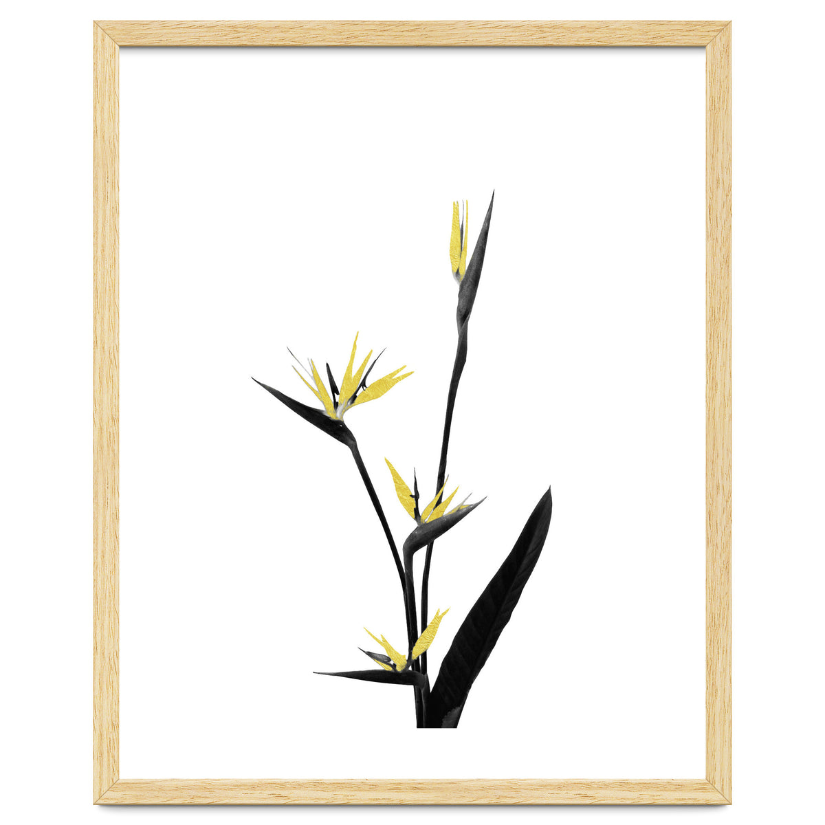 Flower Minimal Black And Gold 05