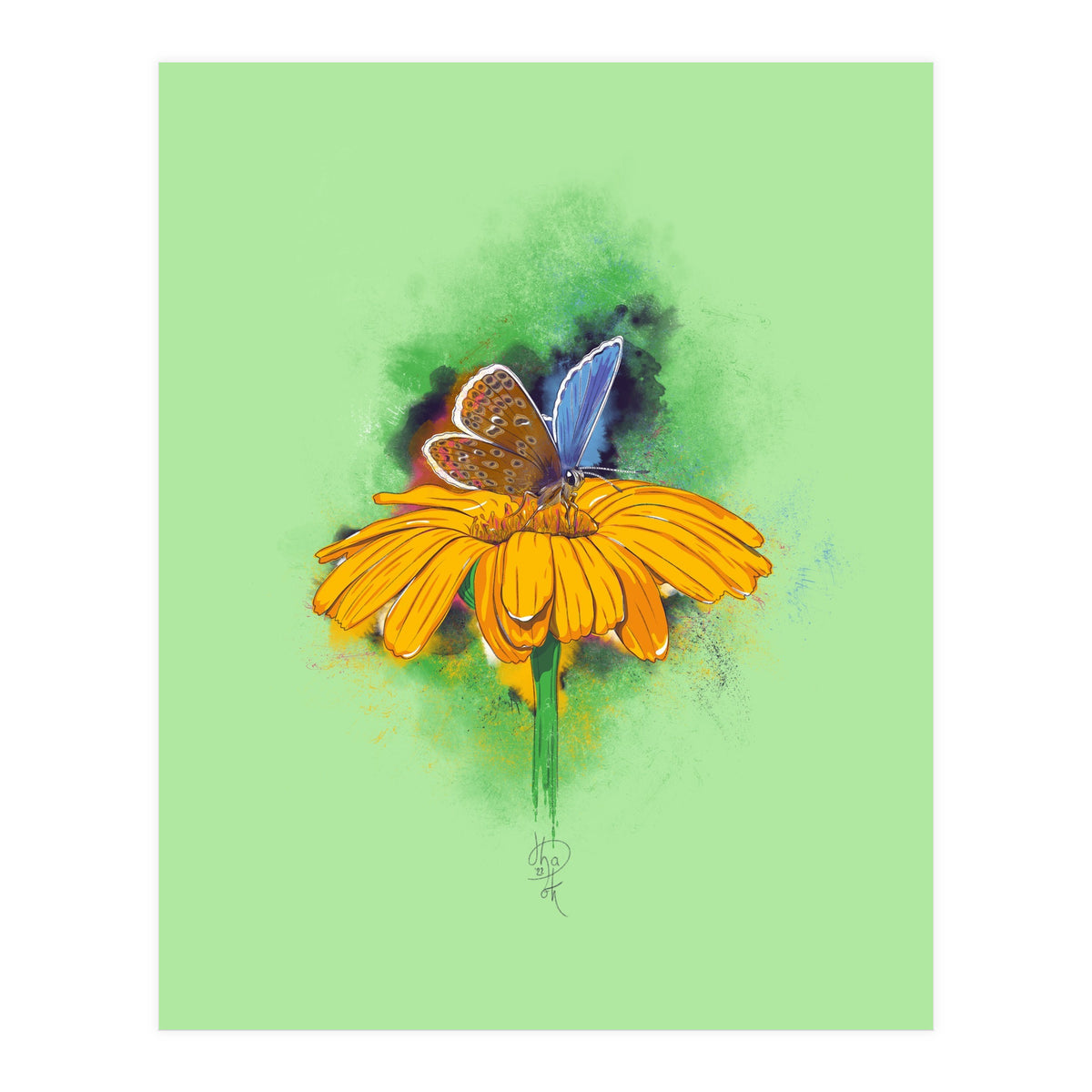 Butterfly 4 (Print Only)