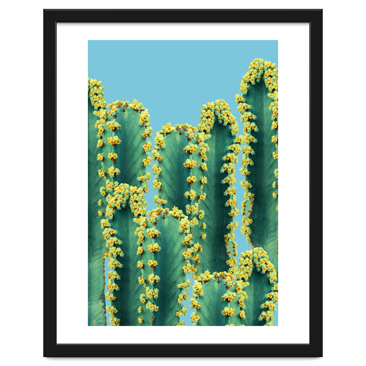 Adorned Cactus V2
