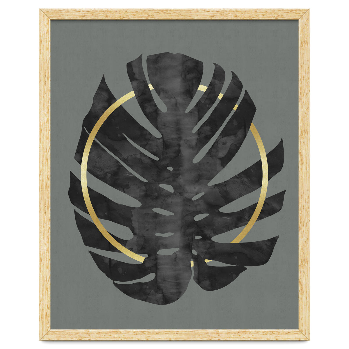 Monstera Deliciosa I