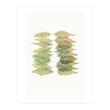 Cc Leaves 01 (Print Only) thumbnail