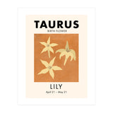 Taurus Birth Flower Lily (Print Only) thumbnail