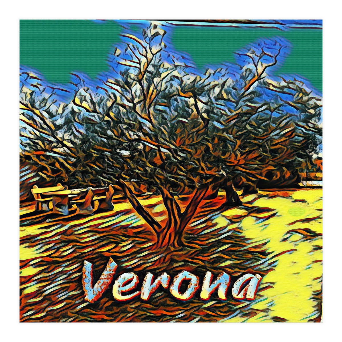 Colorful Olive tree in Verona, Italy. (Print Only)