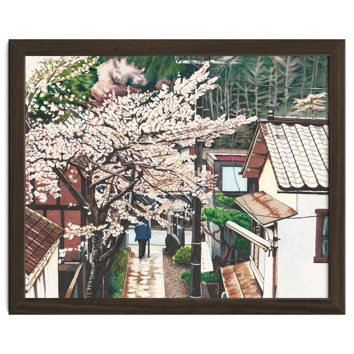 Passing by Cherry Blossoms