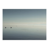 The Salton Sea (Print Only) thumbnail