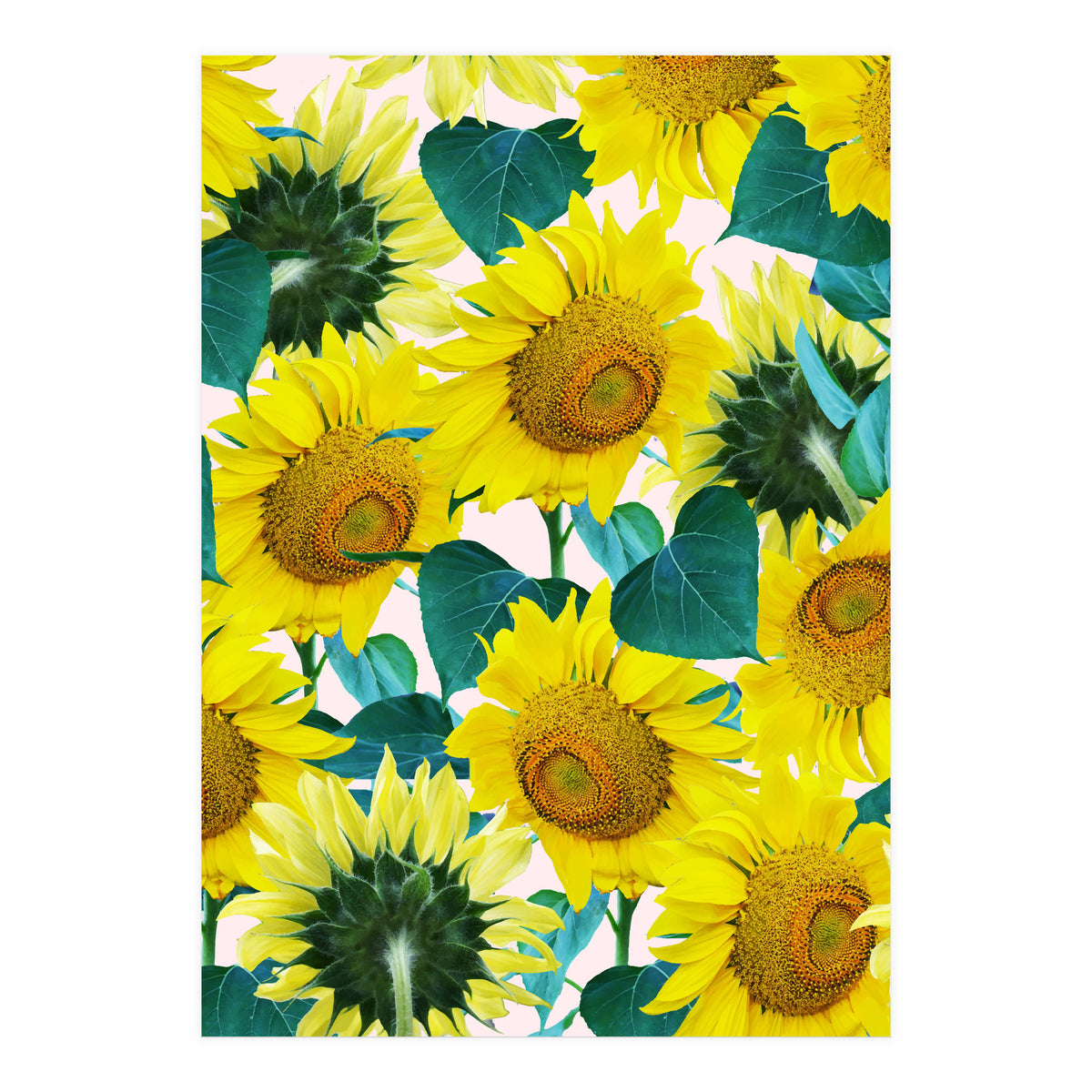 Sunflower (Print Only)