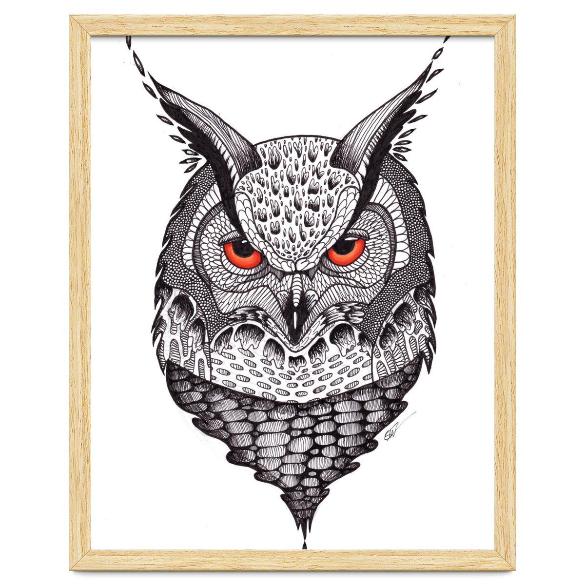 Owl