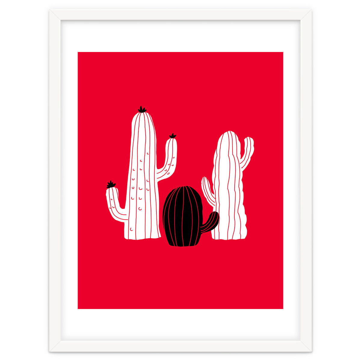 Cactus