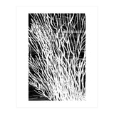Desert Colours Collection 6 (Print Only) thumbnail