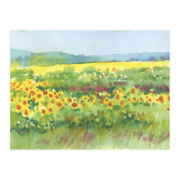 Sunflowers field  (Print Only)