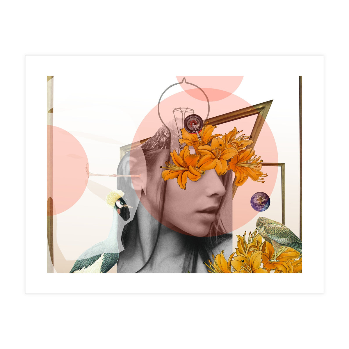 Dreamland Division · D (Print Only)