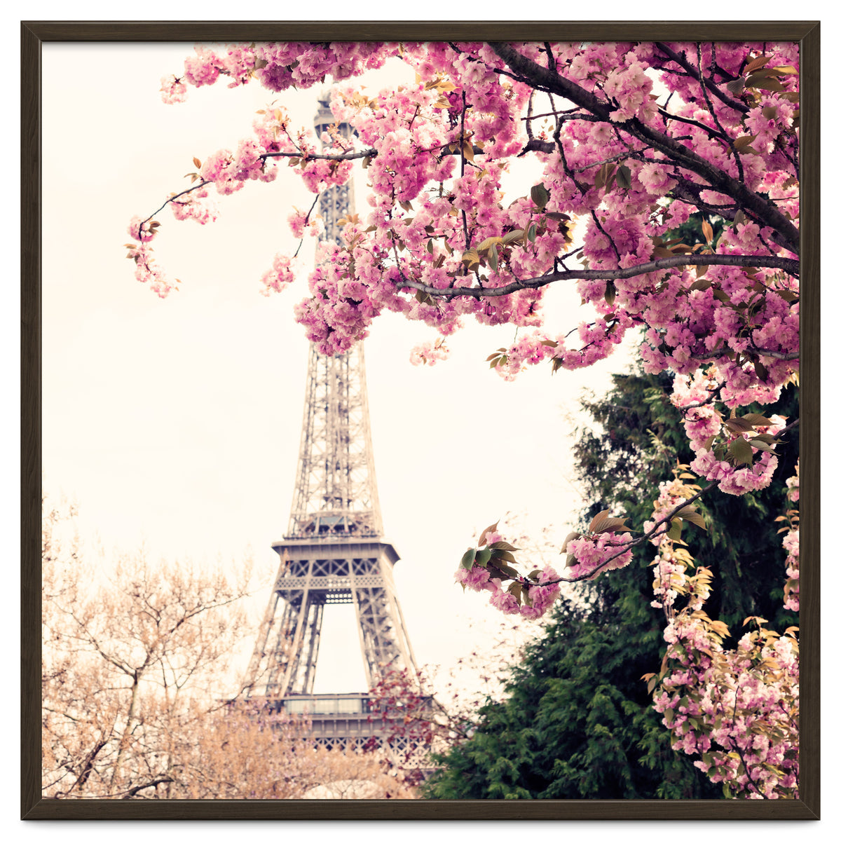 Paris in the Spring