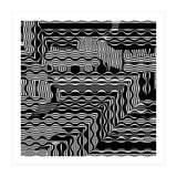 BLACK AND WHITE EXOTIC (Print Only) thumbnail
