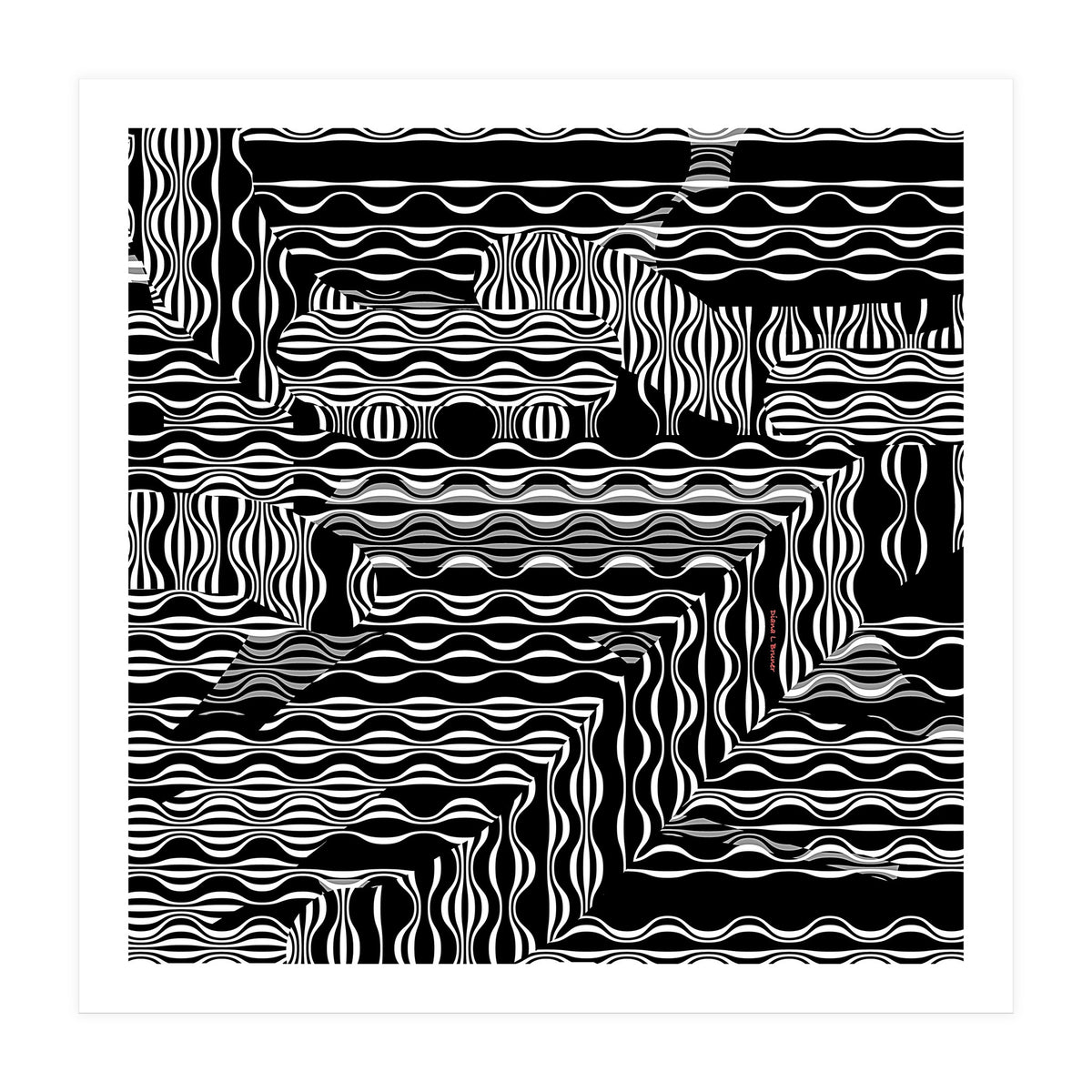 BLACK AND WHITE EXOTIC (Print Only)