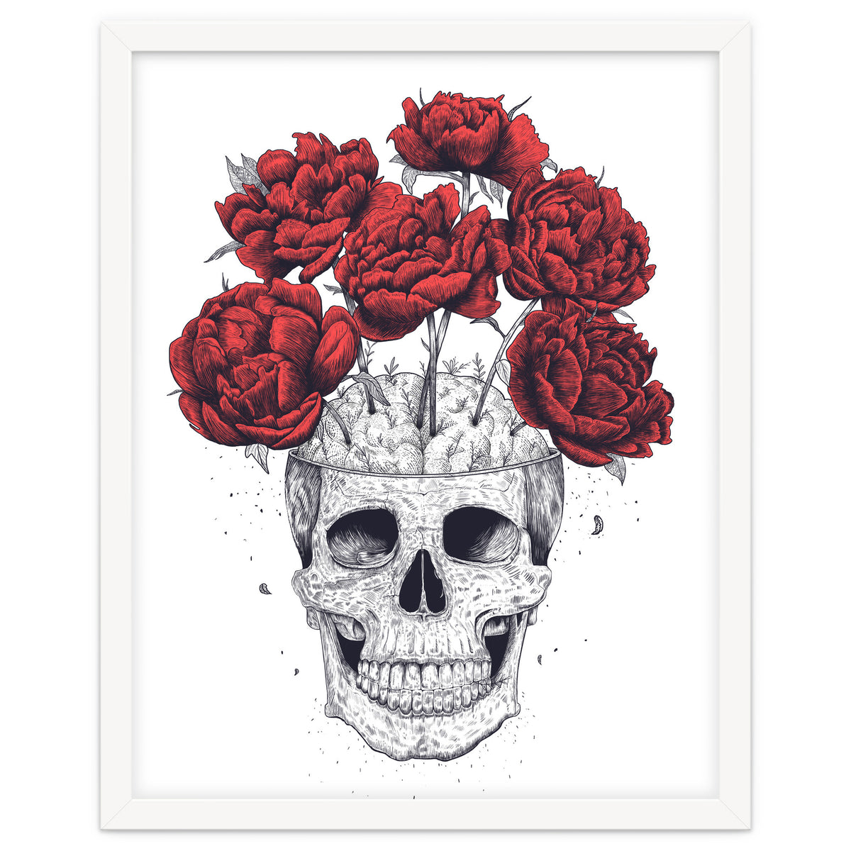 Skull With Peonies