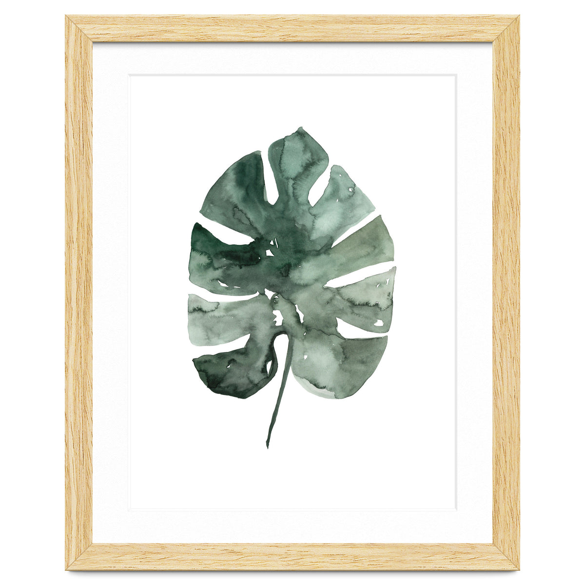 Botanical Illustration Monstera Leaf