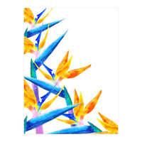 Bird Of Paradise Watercolor (Print Only)