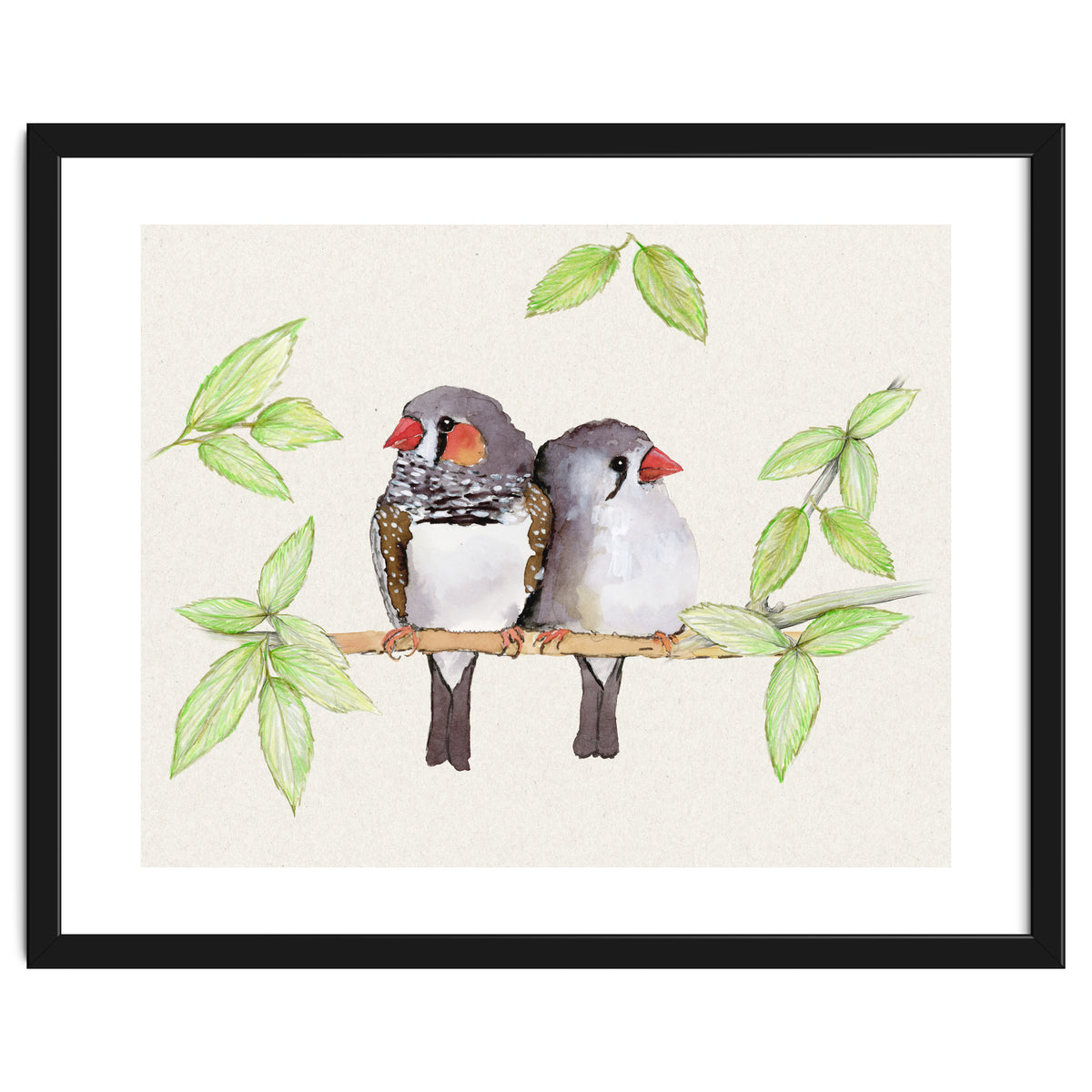 Sweet couple of zebra finches