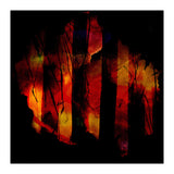 Amazônia (Print Only) thumbnail