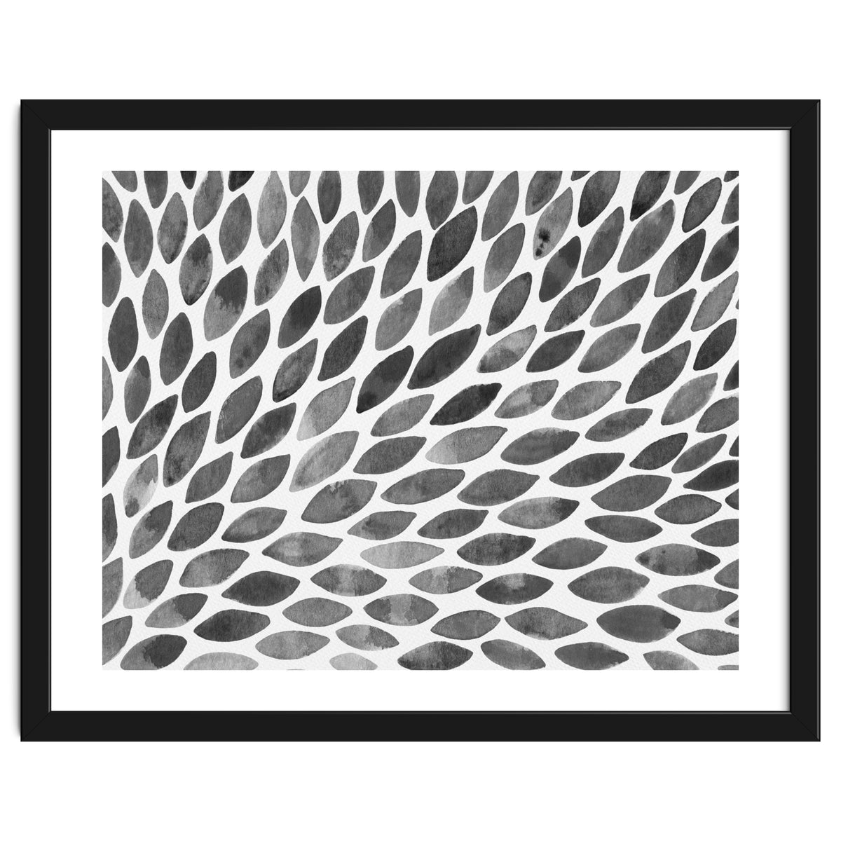 Black and white petal burst