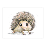 Hedgehog (Print Only) thumbnail