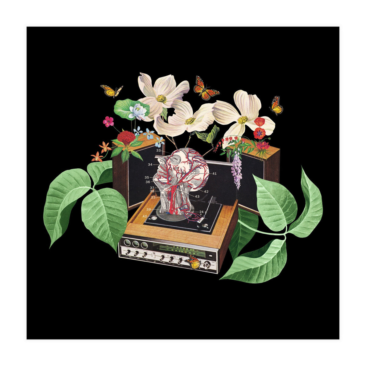 Where Is My Mind (Print Only)