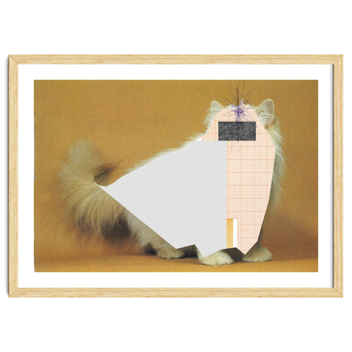 Content Of The Cat 1