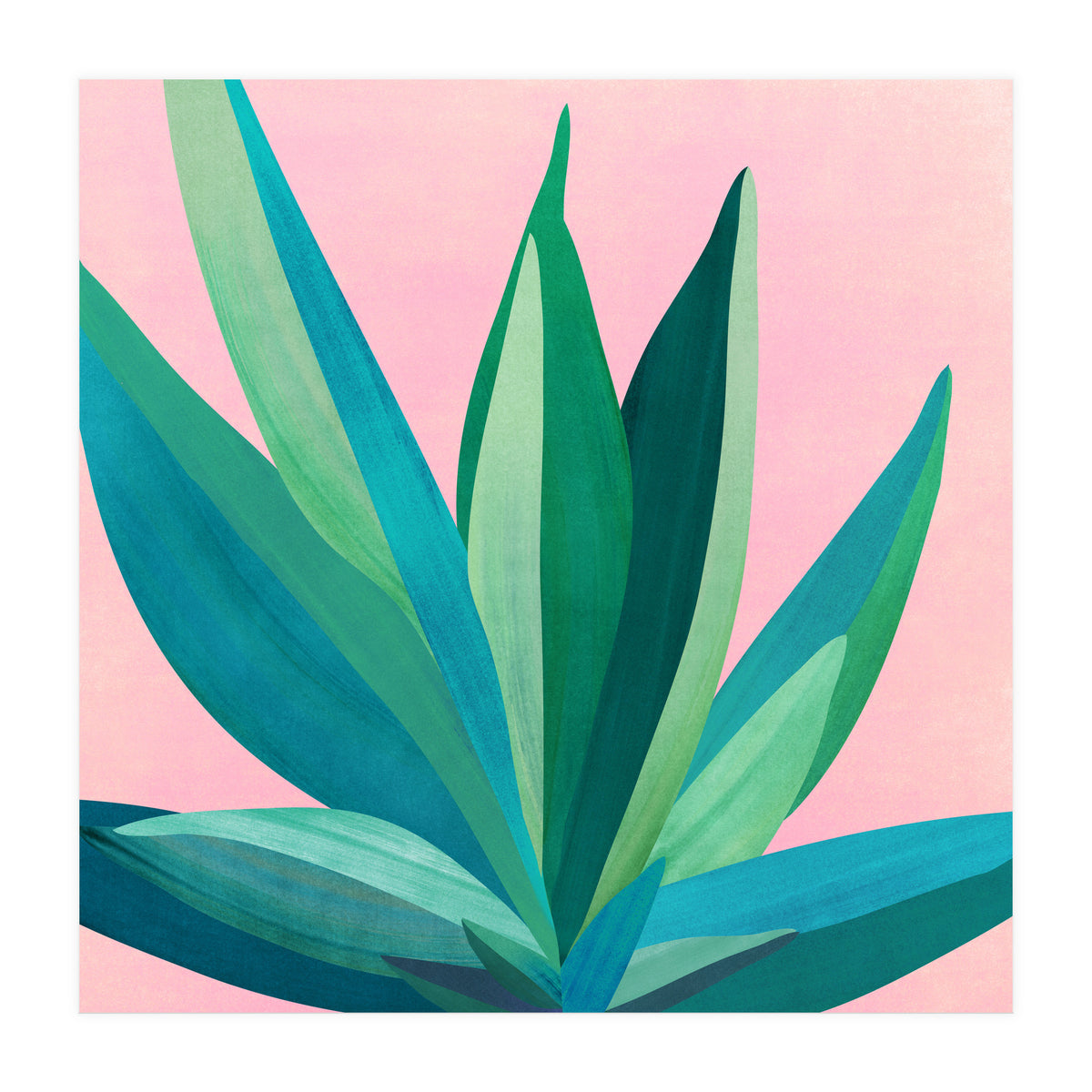 Southwest Agave (Print Only)