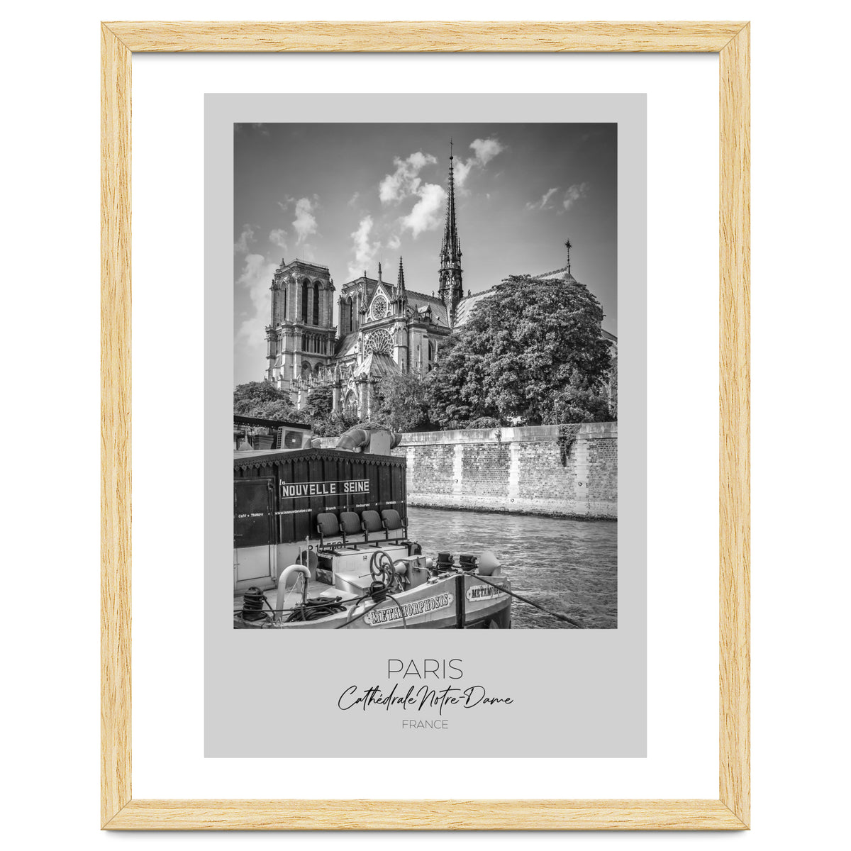 In focus: PARIS Cathedral Notre-Dame