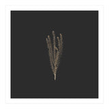 Delicate Fynbos Botanicals in Gold and Black - Square (Print Only) thumbnail