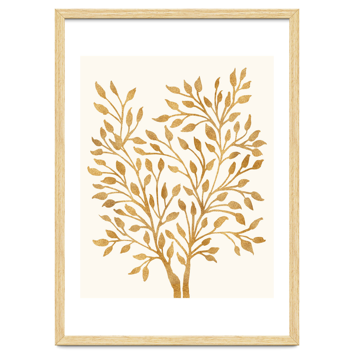 Golden Ficus 4x5
