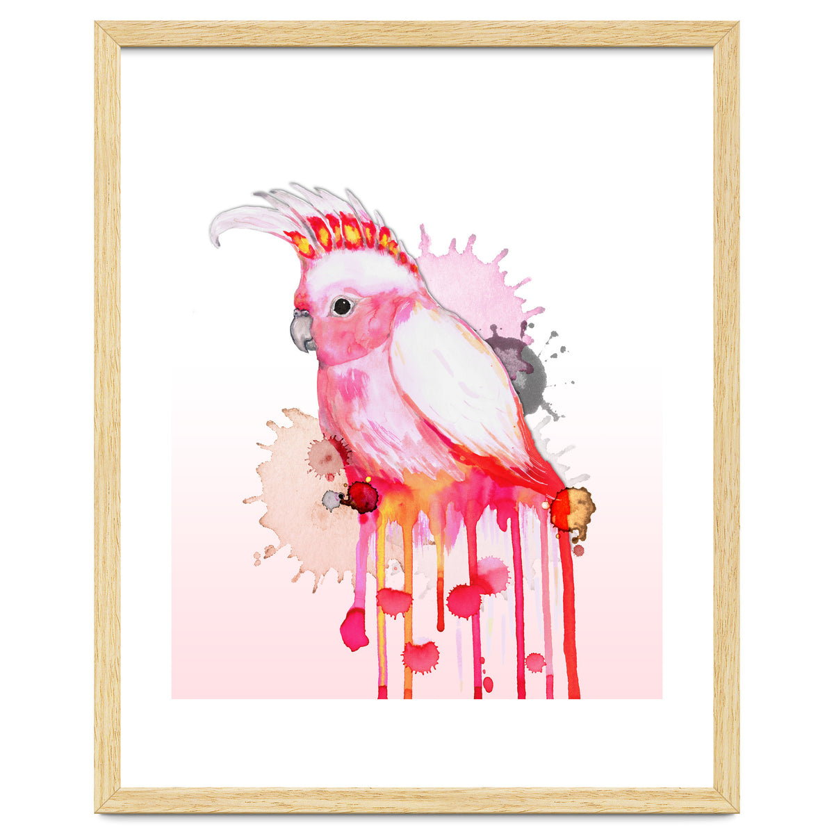 Major Mitchell's cockatoo