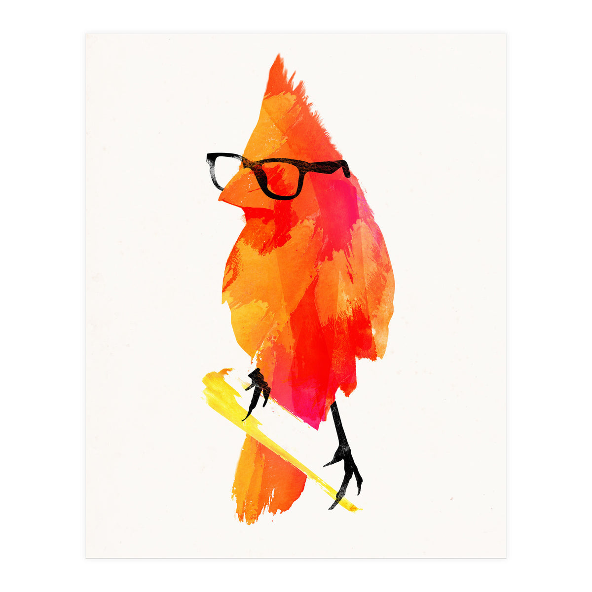 Punk Bird (Print Only)