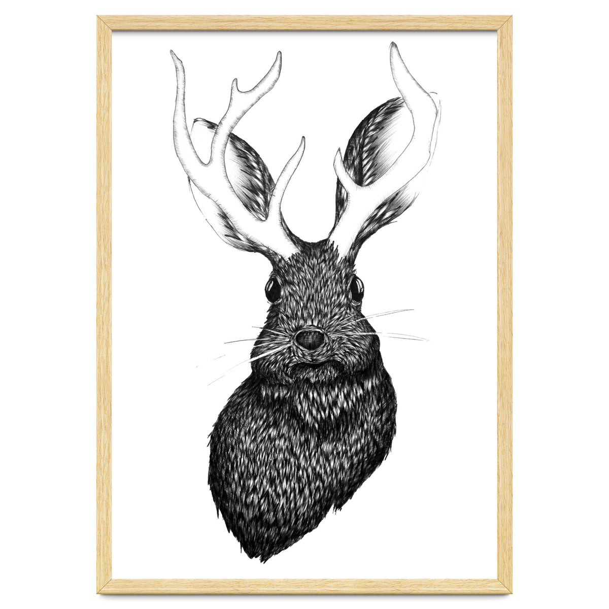 Jackalope