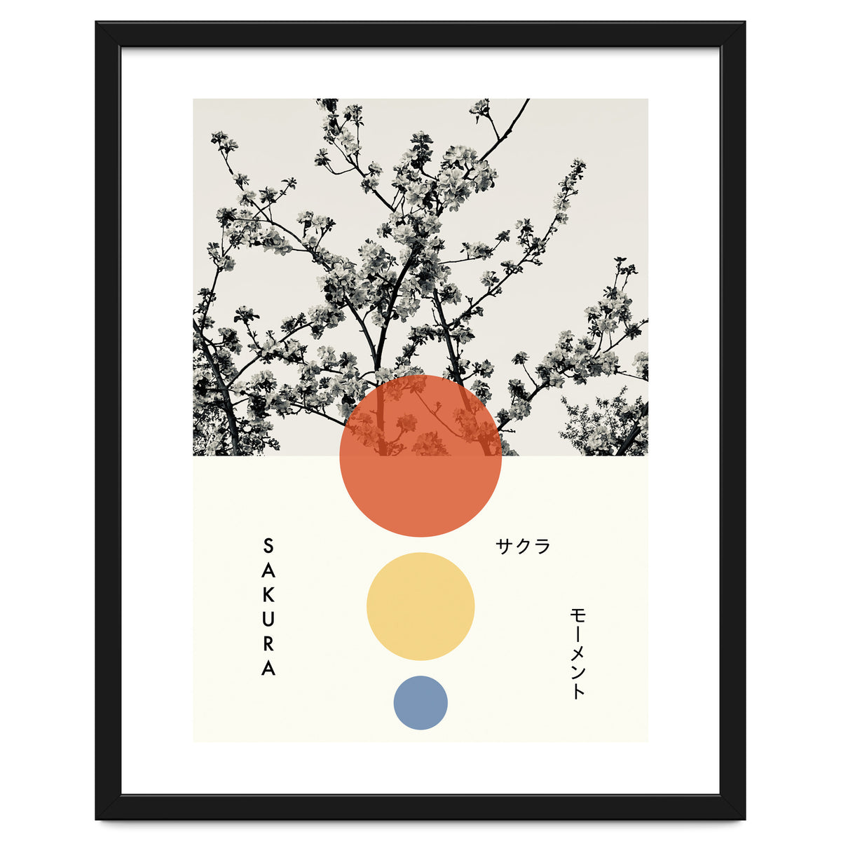 Sakura - Cherry blossom - Japanese - Photography