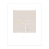 lily flower (Print Only) thumbnail