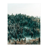 In The Wild (Print Only) thumbnail