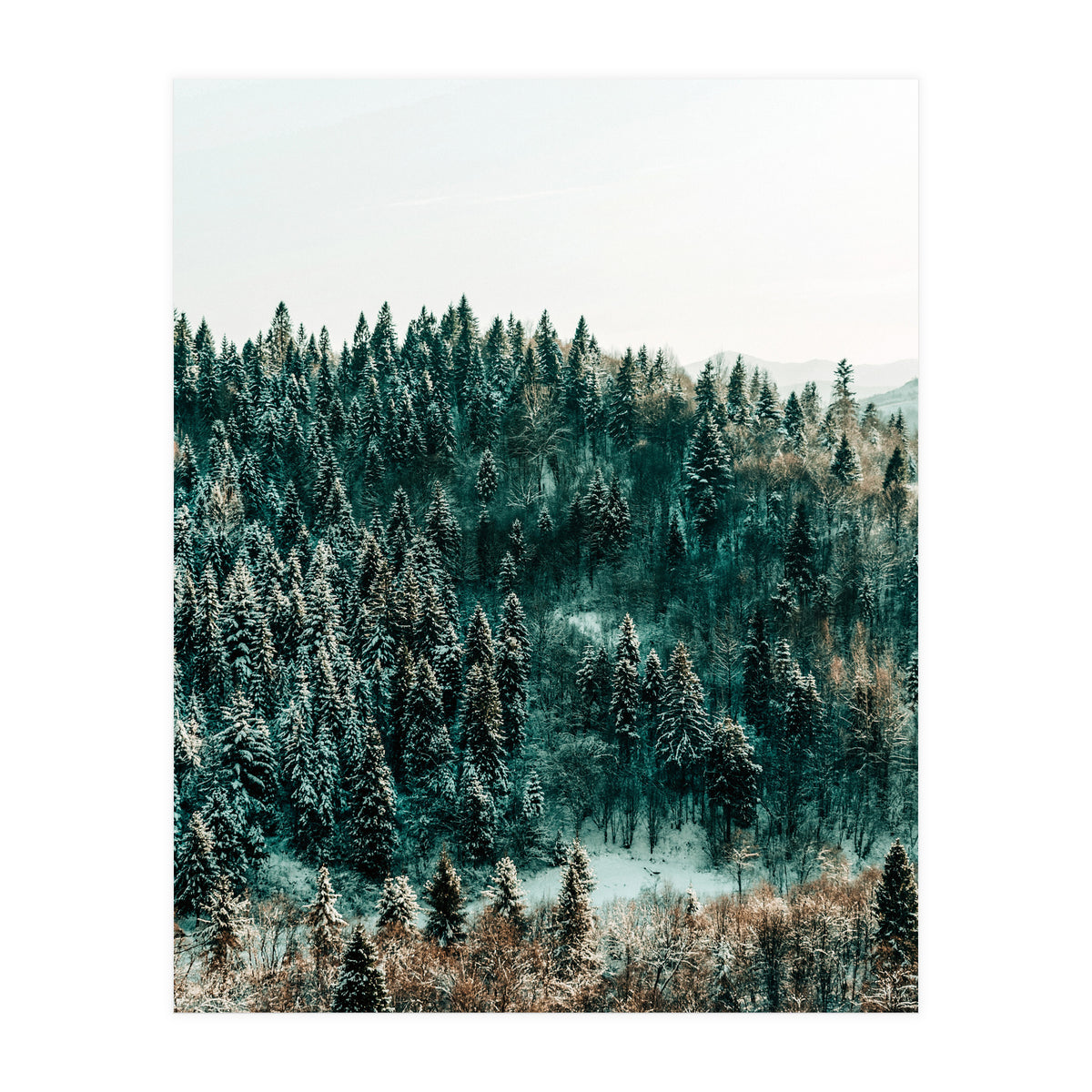 In The Wild (Print Only)