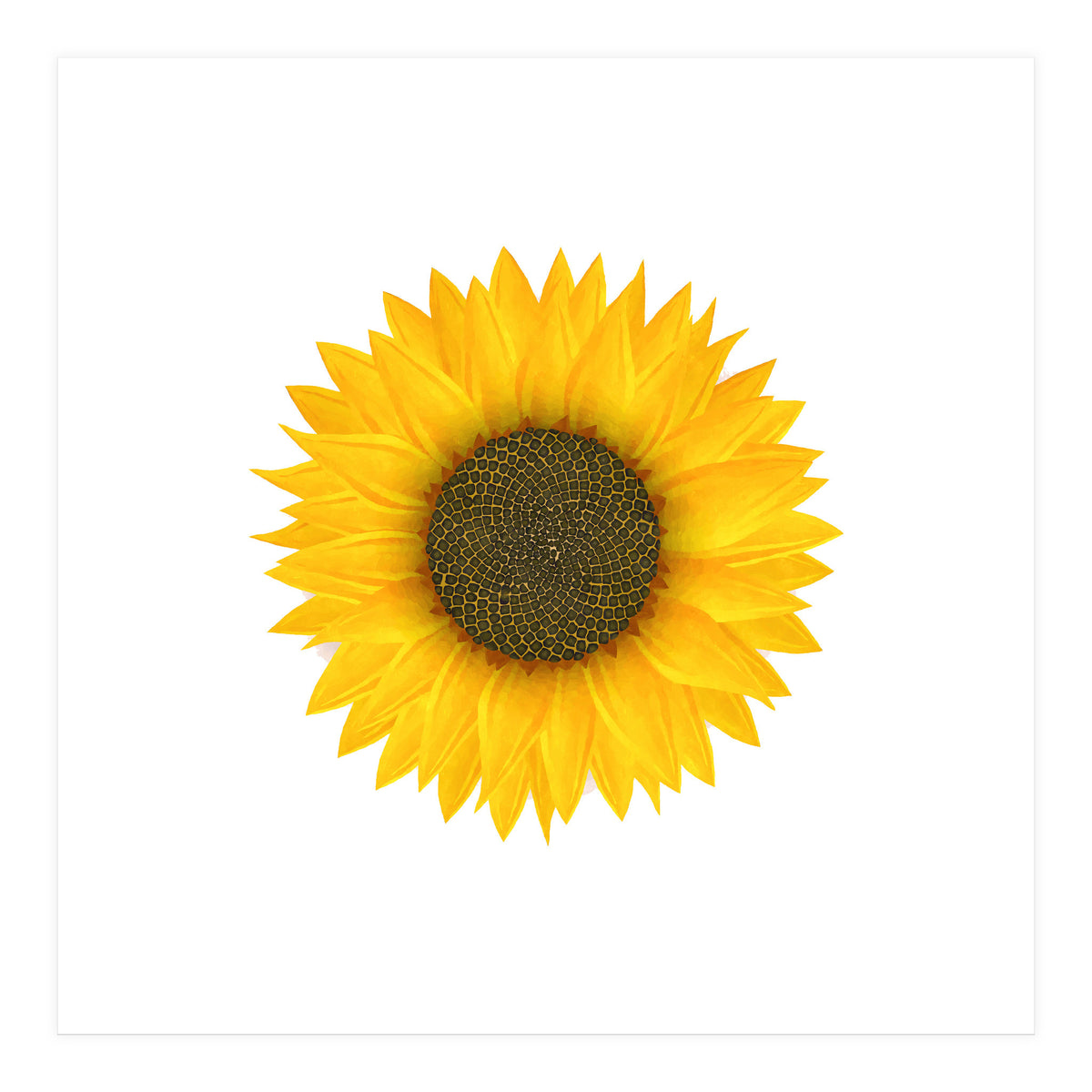 Watercolor Sunflower (Print Only)