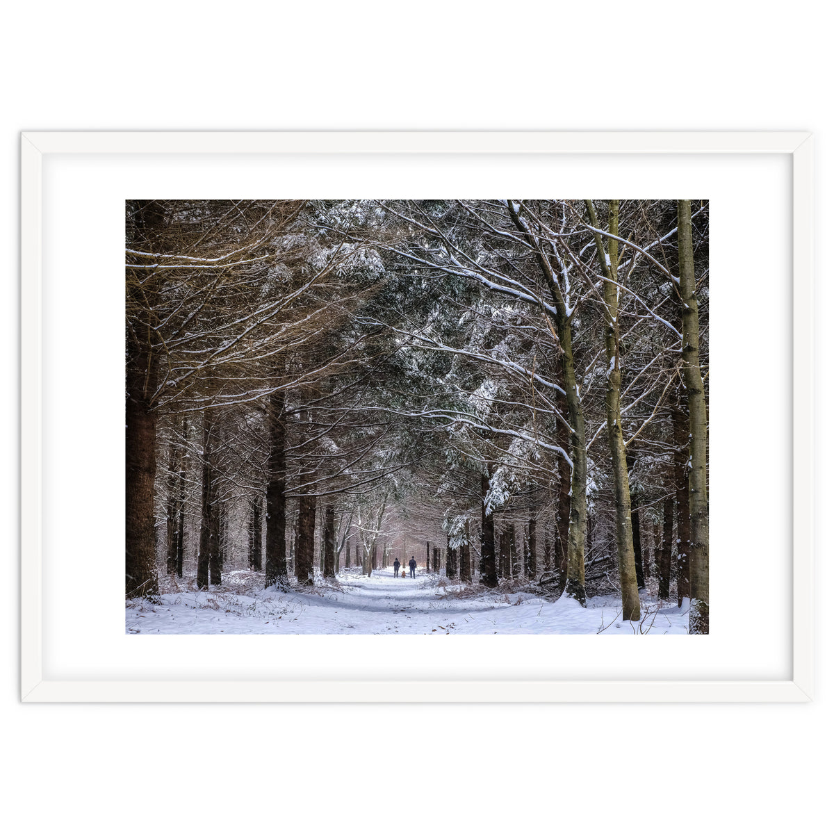 Dog Walkers in the Snow.  Heath Warren - Hampshire
