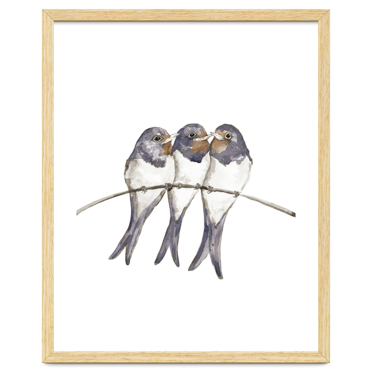 Three young swallows