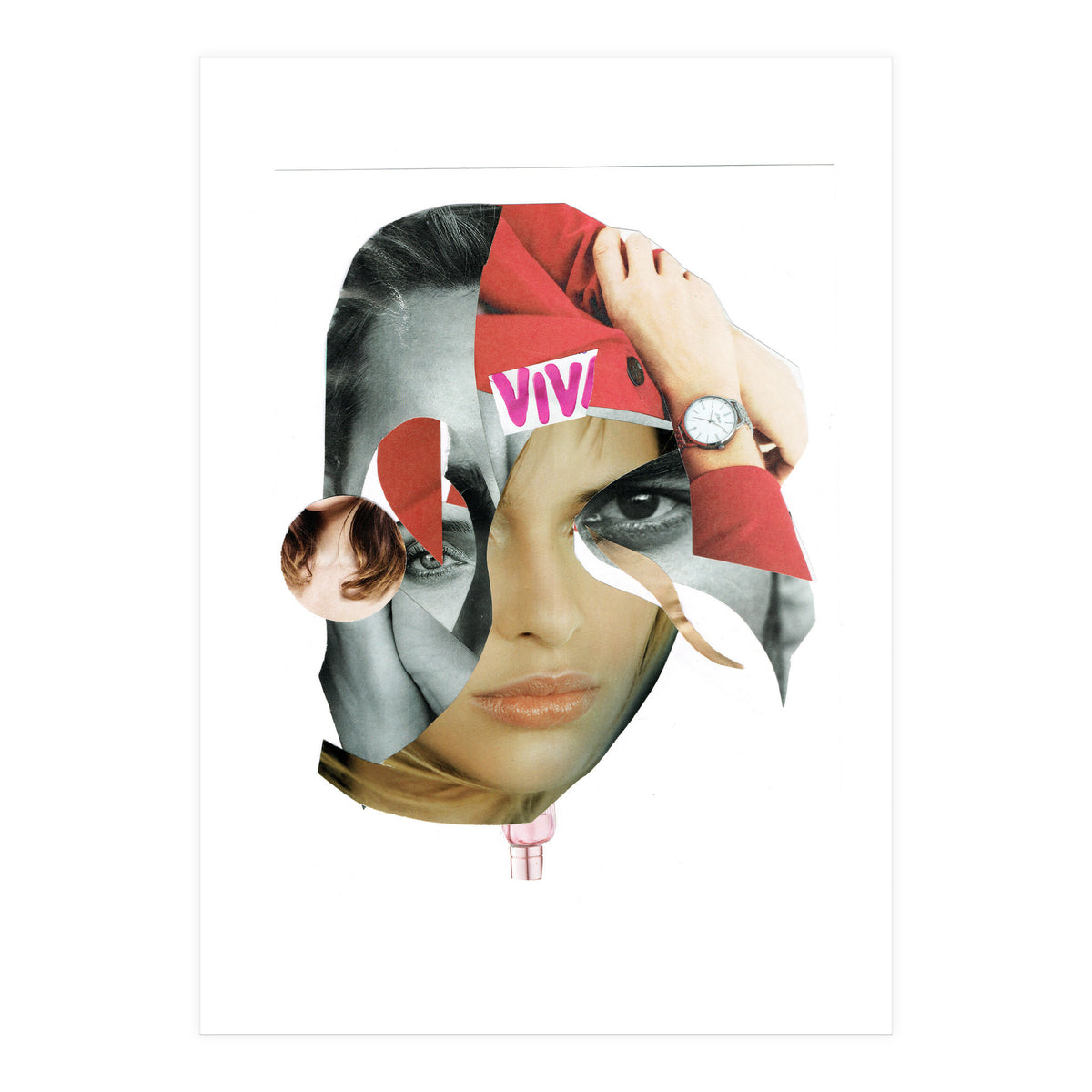 Another Portrait Disaster X (Print Only)