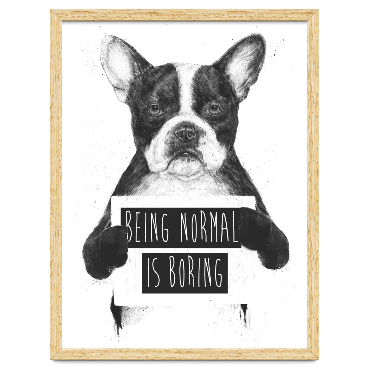 Being Normal Is Boring