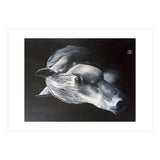 The Grey Horse (Print Only) thumbnail