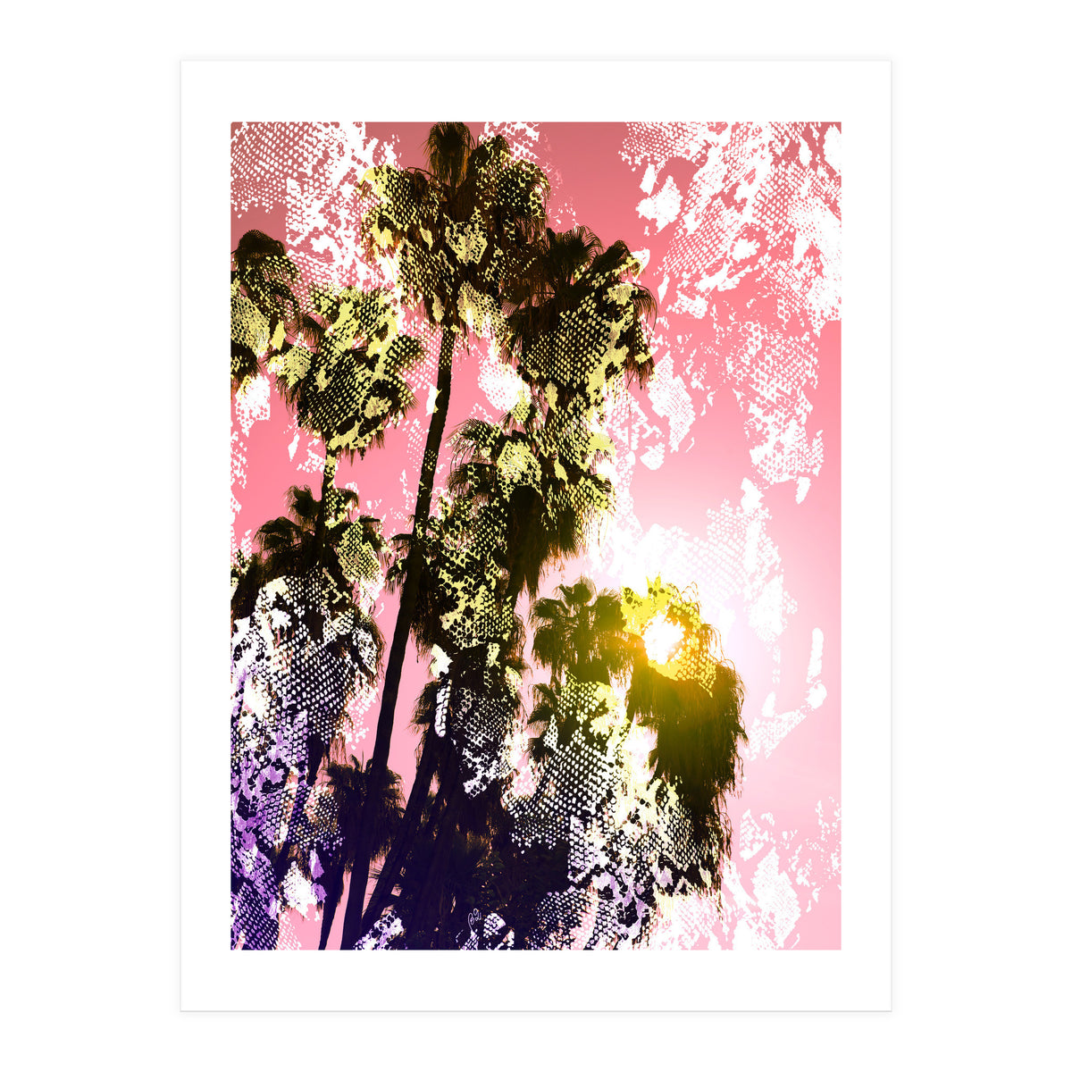 Snake sunset in paradise  (Print Only)