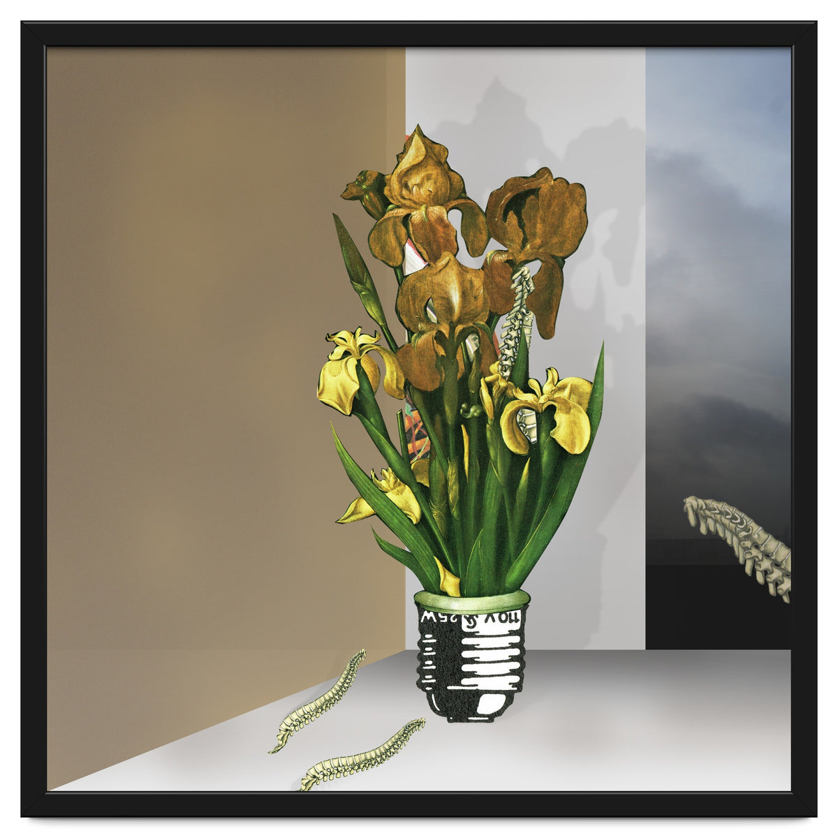 Das Licht Der Pflanze