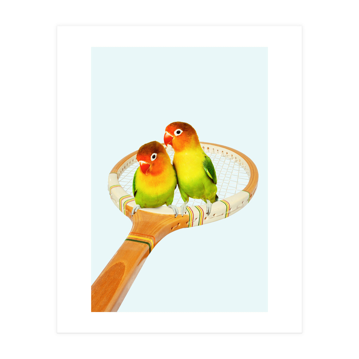 Retro Birds (Print Only)