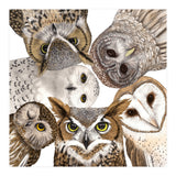 Owls (Print Only) thumbnail