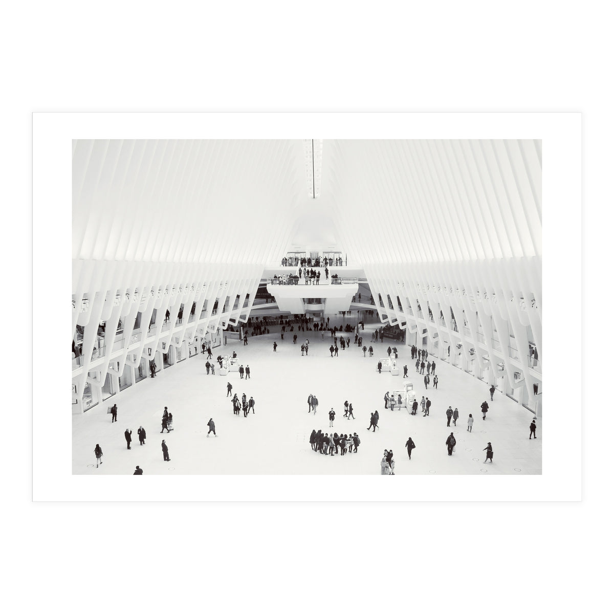 Oculus (Print Only)