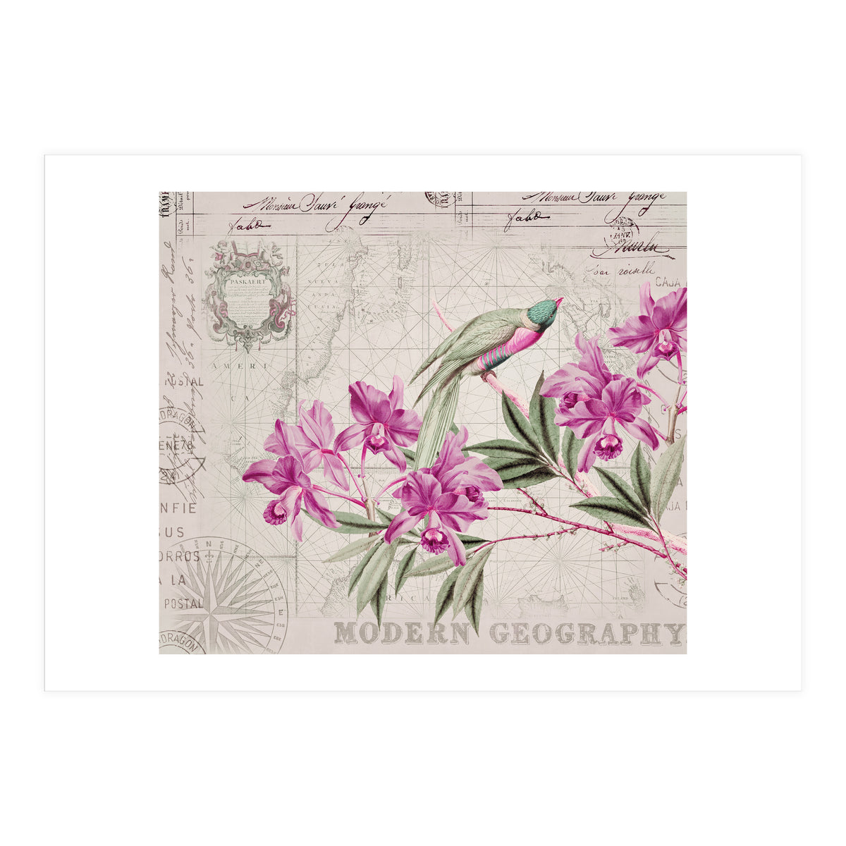 The Birds Voyage Of Discovery (Print Only)